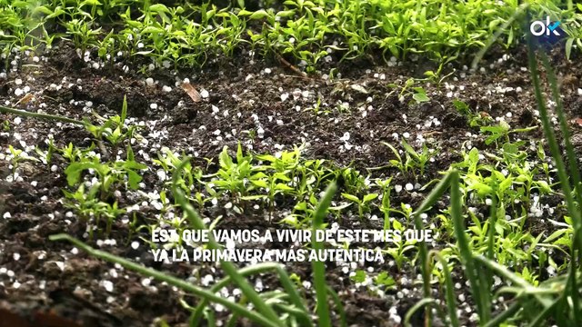 La AEMET pide que nos preparemos: lo que llega esta semana a España no es normal y se vienen tormentas y granizo