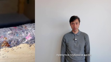 Сколько живут клопы без еды в квартире?