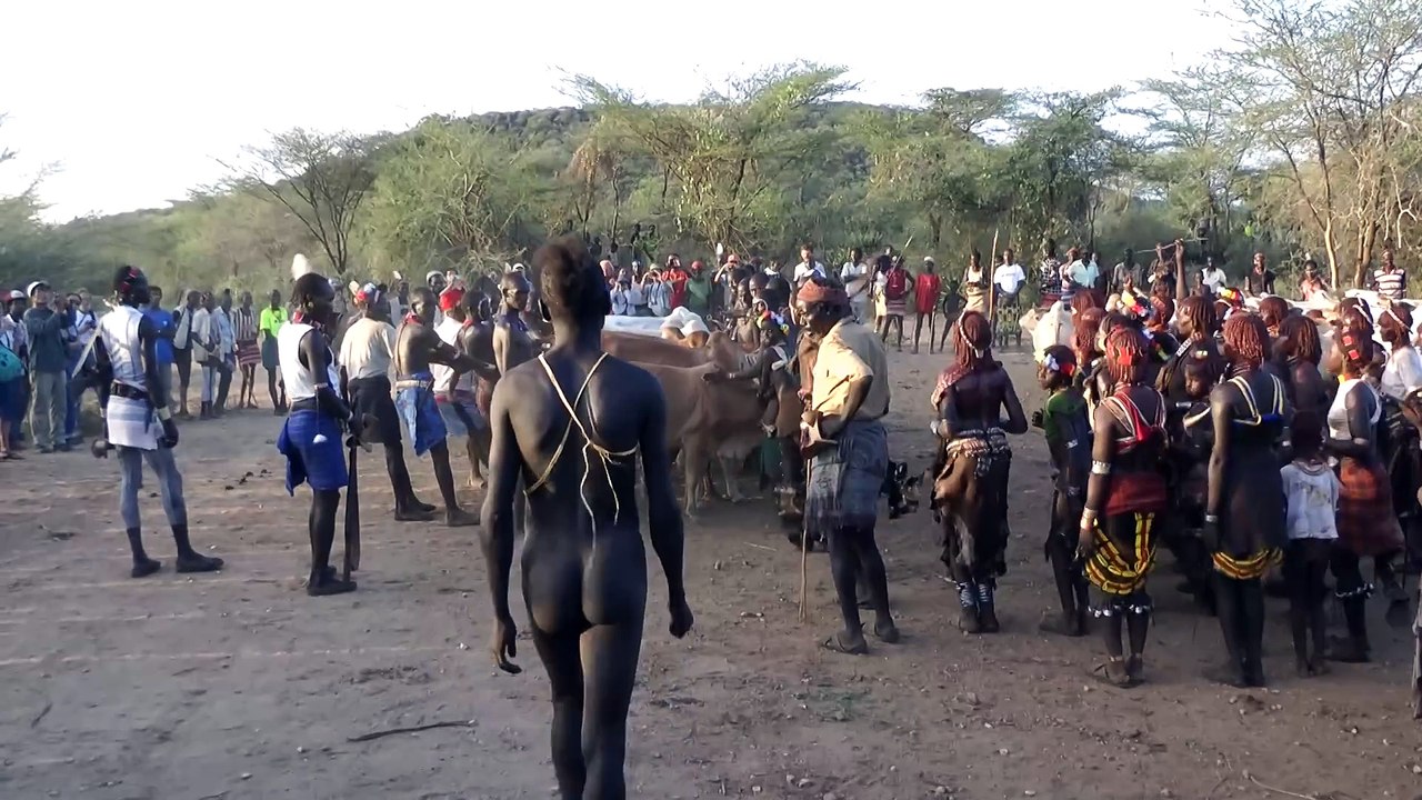 Hamer Bull Jumping A Cultural event in Africa without clothes