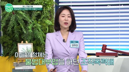 조폭도 MZ가 대세? 사회를 좀먹는 MZ 조폭들 #MZ #조폭