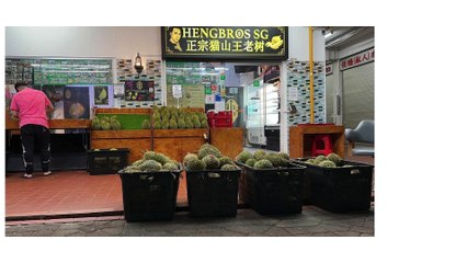 HBSG Slides Overview