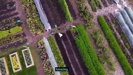 Blenheim Palace Behind the Grandeur Episode 1