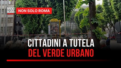 Eur, cittadini in strada contro il taglio degli alberi Servono verifiche