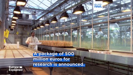 'Choose Europe,' von der Leyen tells US scientists threatened by Trump's policies