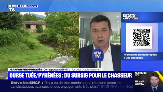 Ourse tuée dans les Pyrénées: à quoi le chasseur a-t-il été condamné? BFMTV répond à vos questions
