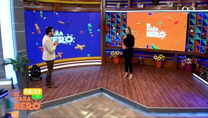 CACHORROS AEROPUERTO