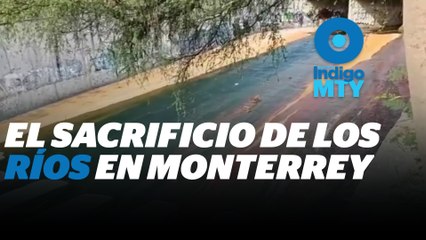 Ecocidio en el rio La Talaverna | Reporte Indigo