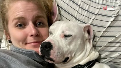 Elle a toujours eu le regret de ne pas avoir adopté ce toutou : 4 ans plus tard, le destin frappe à nouveau (vidéo)