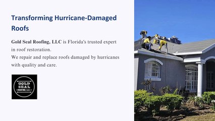 Hurricane Roof Restoration Experts in Florida
