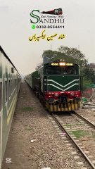 Shah Hussain Express  Shadra Bagh #trainjourney #travelvlog #traintravel #viralshorts #viral - Rail Fanning With Sandhu (1080p, h264)