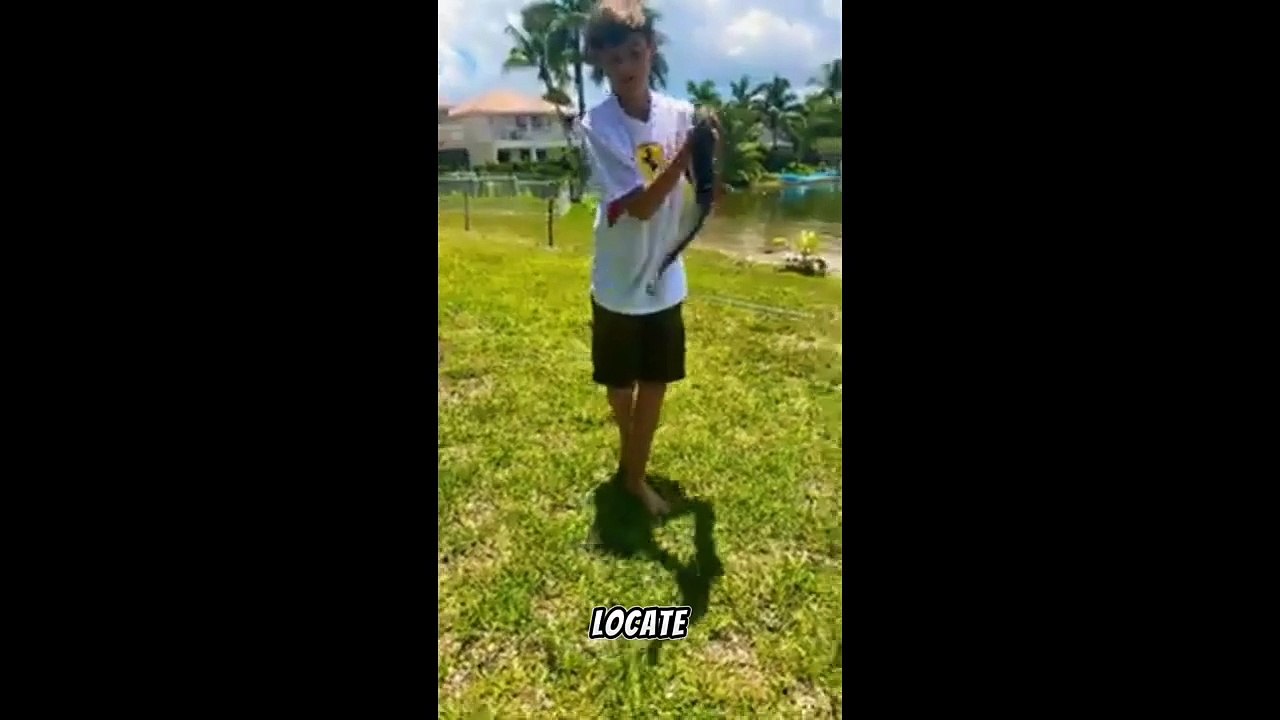 Unveiling the Aquatic Elegance: The Enigmatic World of Green Water Snakes