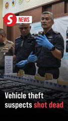 Three members of interstate vehicle theft syndicate shot dead in Sik