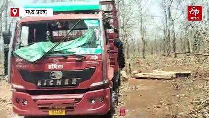 मंडला में फिल्म पुष्पा की तर्ज पर जंगल से तस्करी, पूर्व विधायक ने वन विभाग पर लगाए गंभीर आरोप