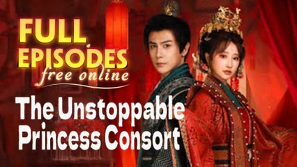 The Unstoppable Princess Consort Chinese Drama