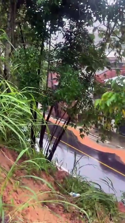 Simões Filho: Via fica completamente interditada após queda de árvore e escadaria