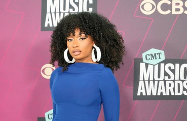 Megan Thee Stallion enfreint une règle d'or du Met Gala
