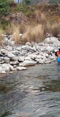 cast netting in Nepal | himalayan trout fishing technique |