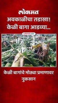 जळगावच्या केळी उत्पादक शेतकऱ्यांवर संकट