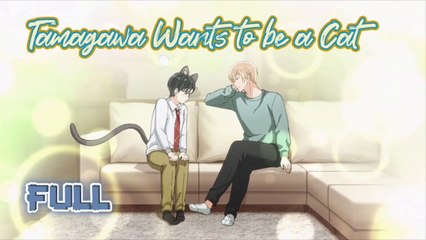 🇯🇵(2025) [BL ANIME] Tamagawa wants to be a Cat EPISODE 1 (Completed)