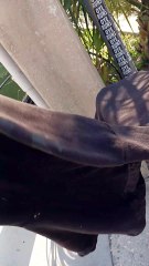 Lost/Found Series [2]