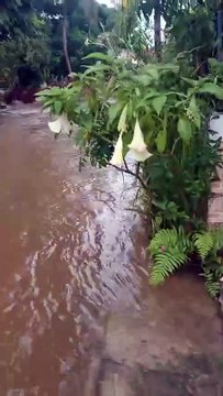 Rio transborda e preocupa moradores de Vera Cruz