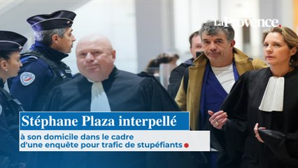 Stéphane Plaza interpellé à son domicile dans le cadre  d'une enquête pour trafic  de stupéfiants