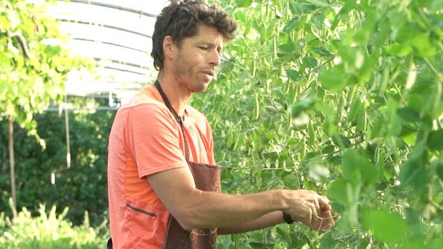 Leurs Champs du Coeur Bande-annonce VF