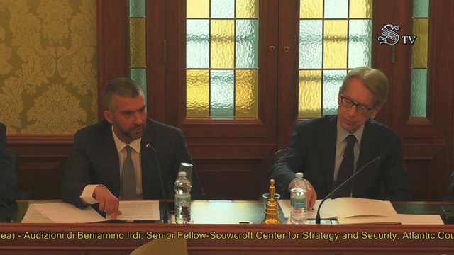 Roma - Ingerenze straniere nei processi democratici degli Stati membri dell’Unione europea e nei Paesi candidati (06.05.25)