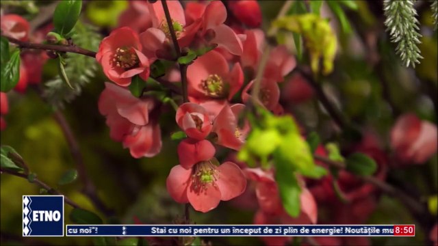 Laura si Victor Lavric - Am venit cu drag la voi (Dor si cant moldovenesc - ETNO TV - 22.04.2025)