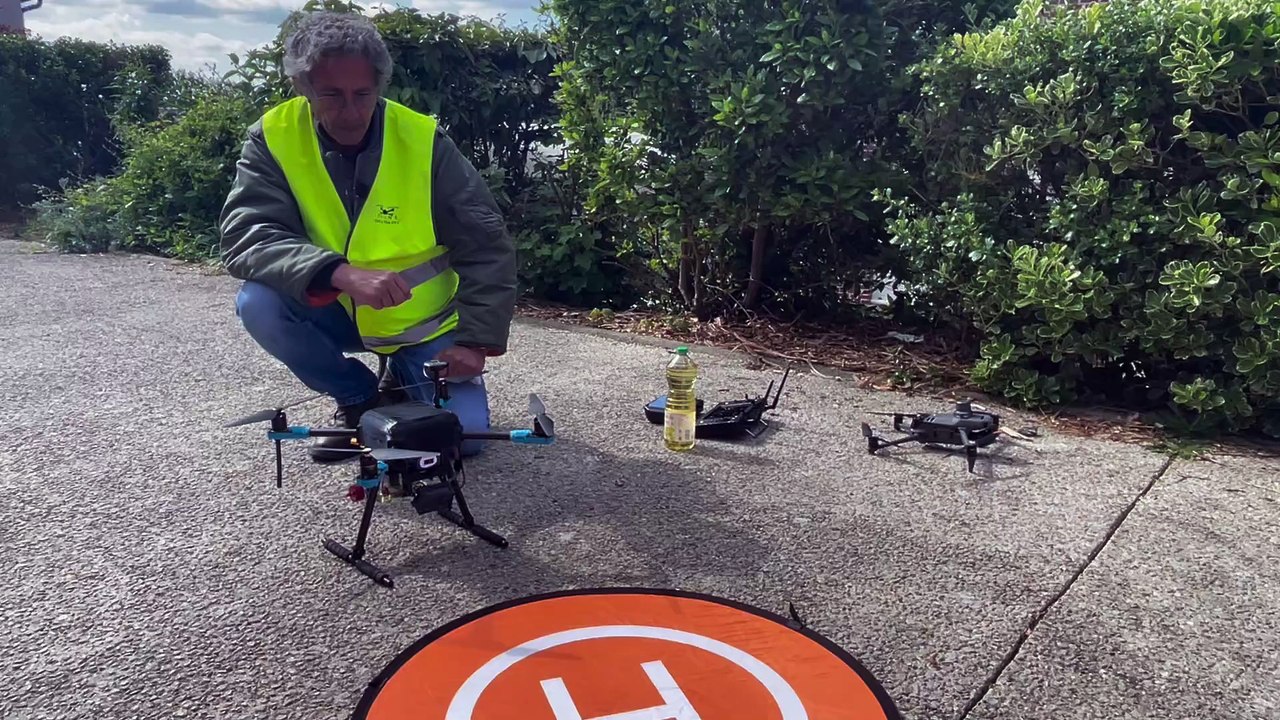 Stérilisation des Goélands