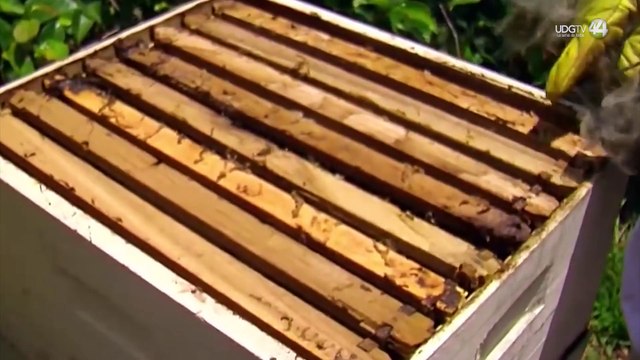 Hay ocho tipos de metales pesados contaminantes en Miravalle