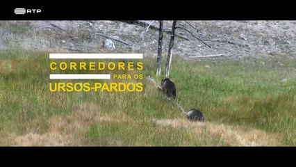 À Reconquista das Montanhas Rochosas - De Yellowstone ao Yukon_Ep02
