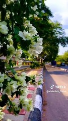 ye mumkin tu nhi jo dil ny chha wo mil jae ||follow mixmotion