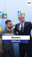 Ex-US ambassador: Ukraine’s NATO path