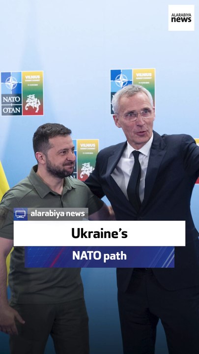 Ex-US ambassador: Ukraine’s NATO path