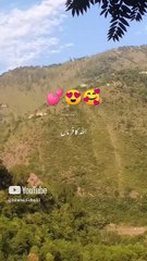 Allah is certainly with us ❤️ #shortvideo #youtubeshorts
