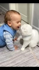 Cute puppy and cute baby new viral funny video 😻📸#viralvideo #shortvideo #viralshort #funnyvideo