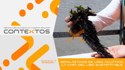 T7 Ep.01 - Bioplásticos de lirio acuático: la cara del uso sustentable | Contextos, reportajes que revelan nuestra realidad