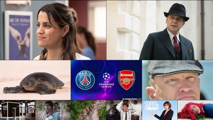 Programme TV soirée du Mercredi 7 mai 2025