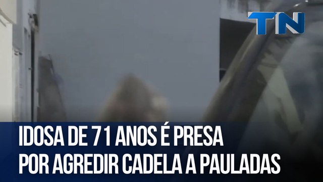 Idosa de 71 anos é presa por agredir cadela a pauladas