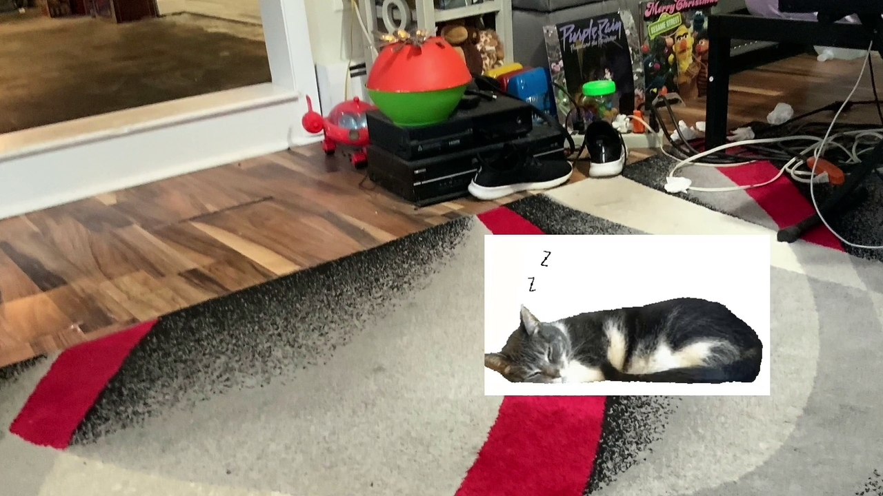 Sesame Street - A Bad Day Crash Angry Cat Fight Very Fastest Super Duper Scene (2007)