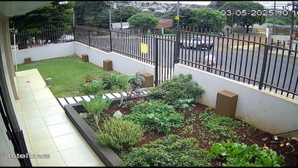 Imagem flagra acidente que ocorreu na Av. Sabia em Cascavel