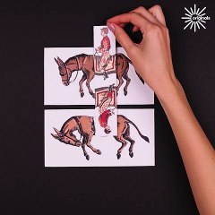 Not everything is as it seems... 🐎