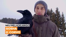 Meu Melhor Amigo: Corvo