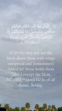 67:19 کیا وہ اپنے اوپر پرندوں کو نہیں دیکھتے جو پر پھیلے ہوئے اور (کبھی) لپٹے ہوئے ہیں؟ رحمٰن کے سوا ان کو کوئی نہیں پکڑ سکتا۔ بے شک وہ ہر چیز کو دیکھنے والا ہے۔