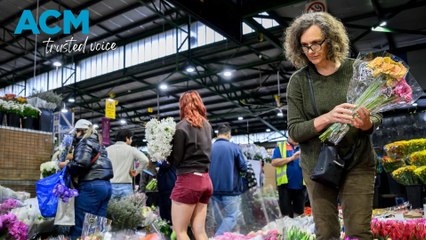 Flower expert reveals which flowers you should buy mum for Mother's Day