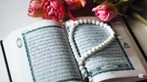 Noorani Qaida with tajweed/Learnerstube