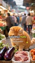 PERTEMUAN DI TENGAH HUJAN YANG MENGHANGATKAN HATI ☔️❤️‍🔥🐱 #cat #catlover #CatStory #AnimalLove