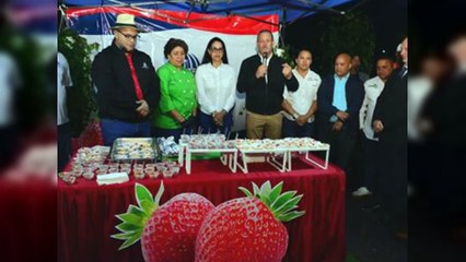 Festival de las Fresas 2025 endulza el agroturismo