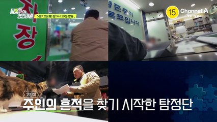 [예고] "고양이를 맡기고 종적을 감춘 주인을 찾아주세요" 밀린 비용만 약 630만 원! 성이의 고양이 주인을 만났다?